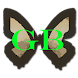 GB Photo Editor