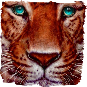 Beautiful tiger live paper.apk 1.0