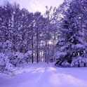 Pretty Winters Wallpaper