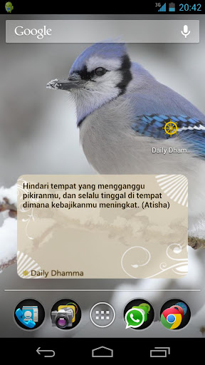 Daily Dhamma