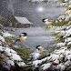 Snow Birds Live Wallpaper