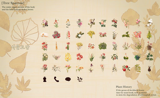 식물도감 런처플래닛 테마