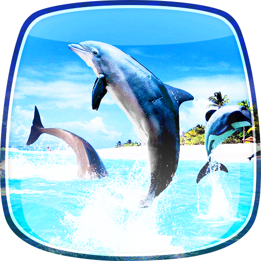 Dolphins Live Wallpaper 個人化 App LOGO-APP開箱王