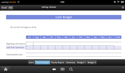 Cash Budget