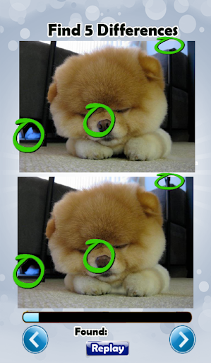 免費下載解謎APP|Spot the Differences Dogs Free app開箱文|APP開箱王