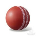 Indian Premier Twenty20 Apk