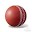 Indian Premier Twenty20 Download on Windows