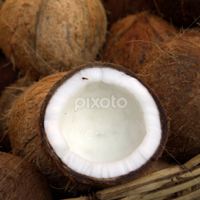Coconut by Surjya Kumar Das - Food & Drink Fruits & Vegetables