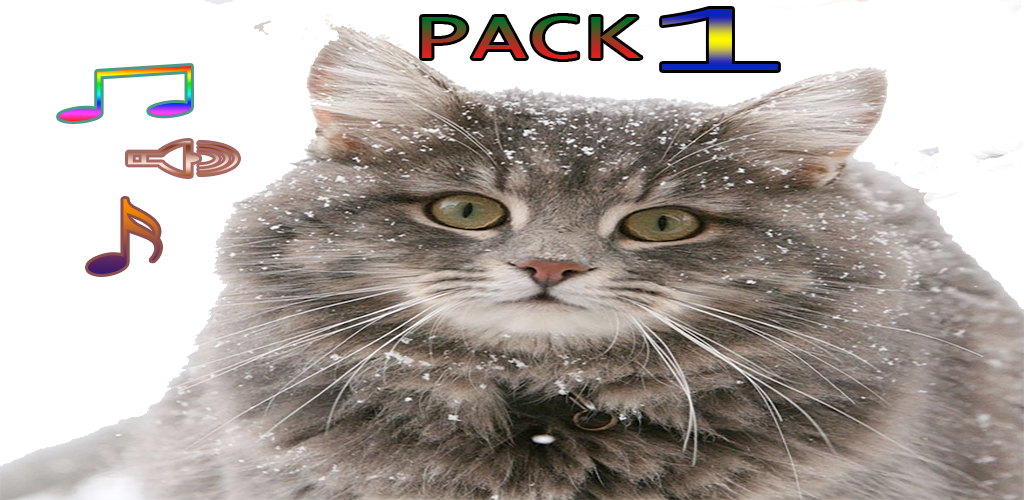 Cat Sound Ringtones For Iphone Cat's Blog