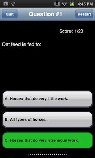 Horseback Riding: Beginner Screenshots 3