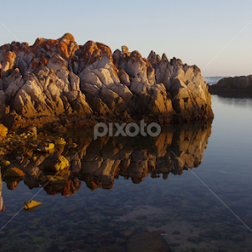 by Linda Jansen van Rensburg. - Wedding Bride & Groom