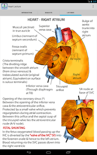 Anatomy Heart Lecture