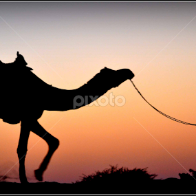 Way Back Home  by Tapesh Mukherjee - People Street & Candids
