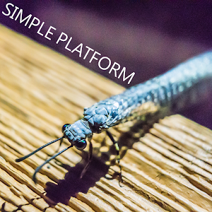 Simple Platform - Support App.apk 1.2
