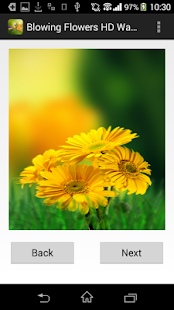 How to install Flower Wallpaper for whatsapp 1.1 unlimited apk for laptop