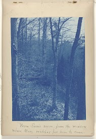 Uitzicht op een bos vanuit een vakantiewoning