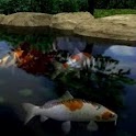 Koi Fishes Swimming In Pond logo