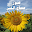صباح الخير 2 :صور للمشاركة Download on Windows