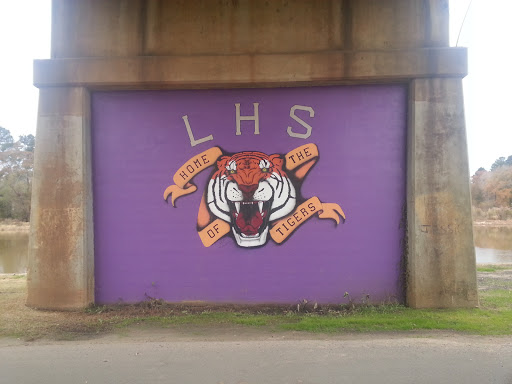 Logansport High School Mural Under Bridge