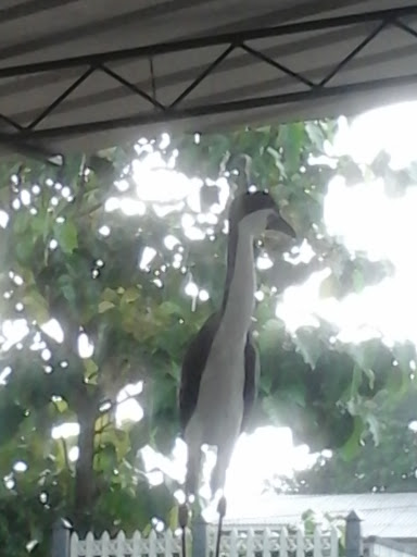 Bird Statue At Arangala
