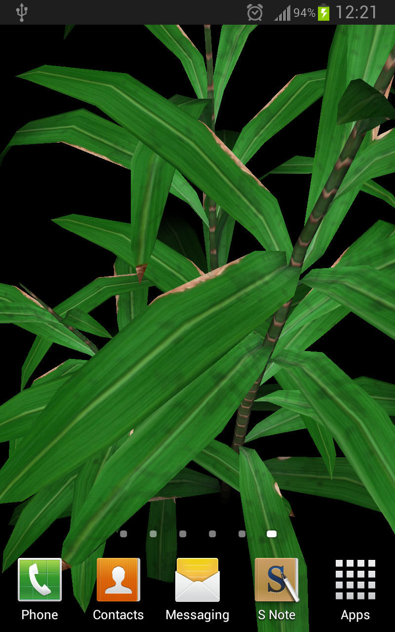 Bamboo Plant Yau 3D Parallax Screen 2