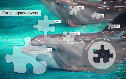 Dolphin Jigsaw Puzzles Demo poster 2