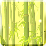Bamboo Forest Free L.Wallpaper Apk