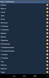 Portuguese Holy Bible poster 14