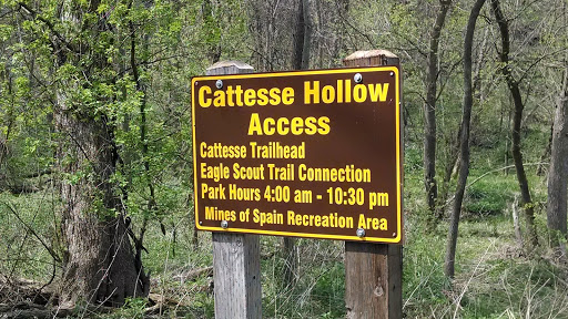 Cattesse Hollow
