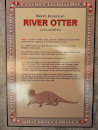 River Otter Exhibit