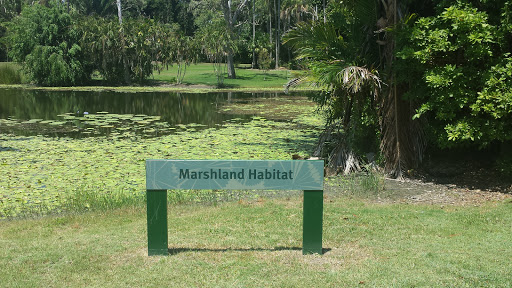 Marshland Habitat