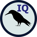 Raven IQ Test Apk
