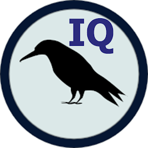 Raven IQ Test logo