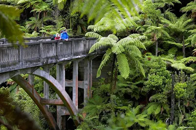 Returning World War 1 servicemen once worked the land within what is now the Whanganui National Park in the southwest of New Zealand's North Island. Jet boat and kayak tours provide easy access to this fascinating site deep in the forest. There’s also a multi-day-day hiking or one-day mountain biking trail. It's not a destination for cruise ship day trippers, but a good destination for a longer stay on the North Island.