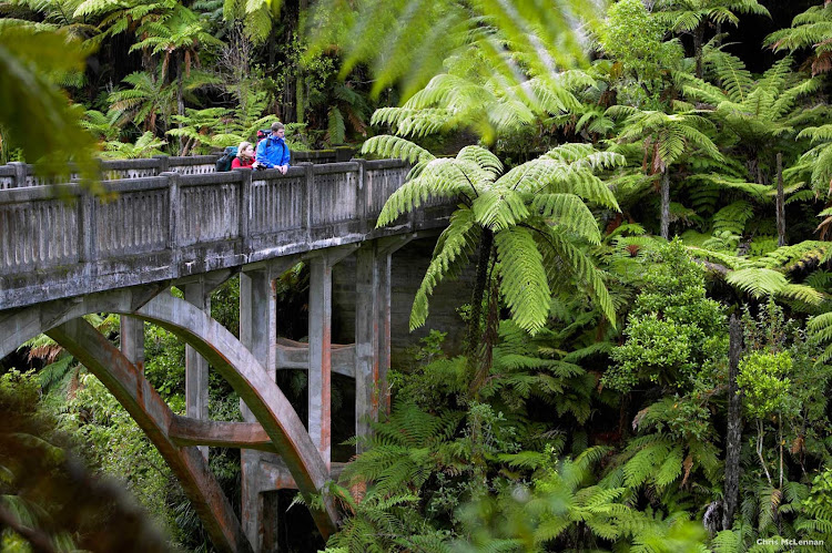 Returning World War 1 servicemen once worked the land within what is now the Whanganui National Park in the southwest of New Zealand's North Island. Jet boat and kayak tours provide easy access to this fascinating site deep in the forest. There’s also a multi-day-day hiking or one-day mountain biking trail. It's not a destination for cruise ship day trippers, but a good destination for a longer stay on the North Island.