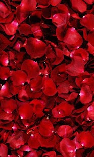 Petals live wallpaper Screenshots 5