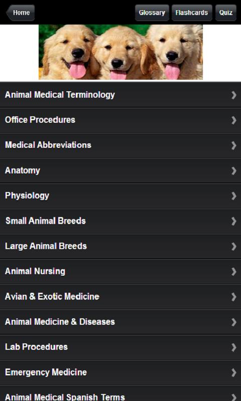 Certified Veterinary Assistant Screen 3