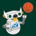 NDST Football & Basketball logo