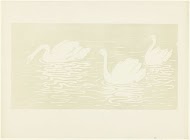 Drie zwanen zwemmen in water