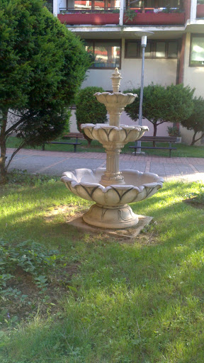 Old Folks Home Fountain