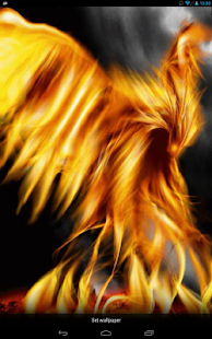 Download Fiery Feathers Live WP APK for Android