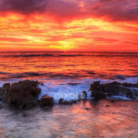 Liquid gold by Dan Searle - Landscapes Beaches