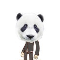 Panda Face icon