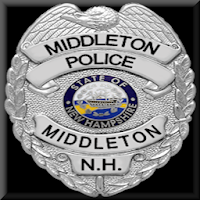 Middleton Police APK 电影海报图片