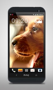 Laky Dog Puppies LiveWP Screenshots 1