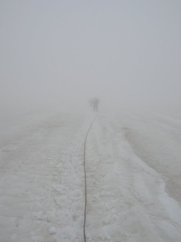 [into the fog[4].jpg]