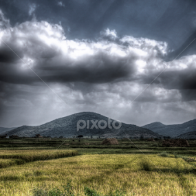 fields by Kaleem Shaik - Landscapes Prairies, Meadows & Fields