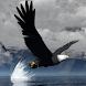 Wonderful Eagle Live Wallpaper