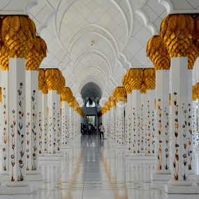 Grand Mosque by Sarath Sankar - Buildings & Architecture Places of Worship
