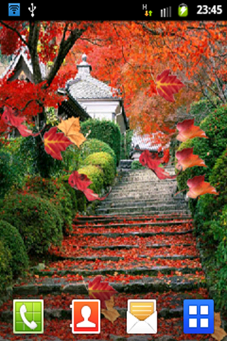 Autumn Leaf Live Wallpaper